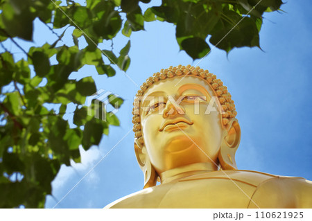 タイの寺院　巨大な黄金の仏像　ワット・パークナム 110621925