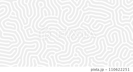 Abstract organic seamless vector pattern Simple flat light grey and white backdrop Abstract organic seamless vector pattern Simple flat light grey and white backdrop 110622251