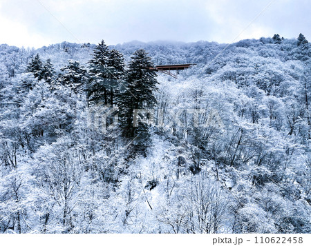 新穂高ロープウェイ西穂高口より眺める北アルプスの絶景 110622458