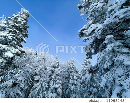 新穂高ロープウェイ西穂高口より眺める北アルプスの絶景 110622484