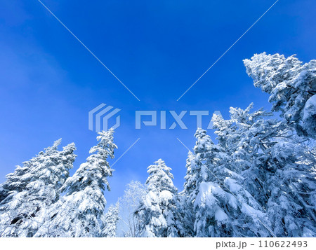 新穂高ロープウェイ西穂高口より眺める北アルプスの絶景 110622493
