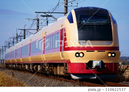 E653系国鉄色で運転された特急開運成田山初詣群馬号 110622537