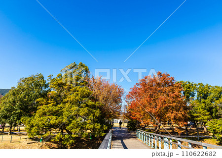 水辺の森公園の紅葉【長崎市】 110622682