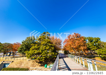 水辺の森公園の紅葉【長崎市】 水辺の森公園の紅葉【長崎市】 110622685