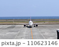 飛行機を見送る 110623146