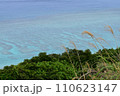 青い海 110623147