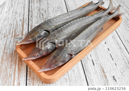 Raw sterlet fish on a wooden plate with pepper Raw sterlet fish on a wooden plate with pepper 110623256