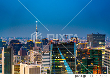 【東京都】大都市の夜景 【東京都】大都市の夜景 110623728