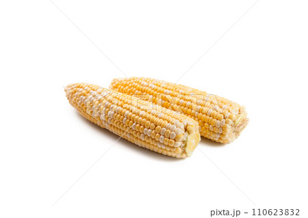 Two ears of sweet corn isolated on a white background.. Two ears of sweet corn isolated on a white background.. 110623832
