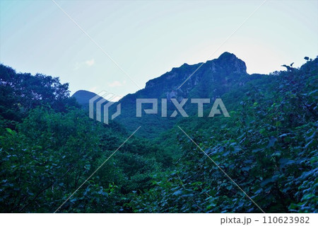 登山道から見上げる斜里岳の山頂 110623982