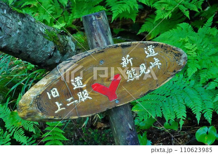 斜里岳登山道の新道と旧道の分岐標識 110623985