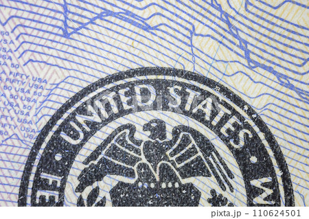 American Eagle from United States American Eagle from United States 110624501
