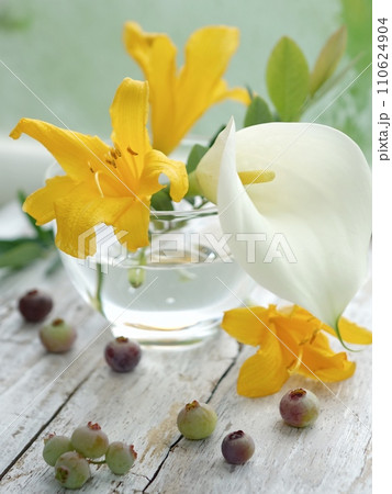 黄色の花とブルーベリー 110624904