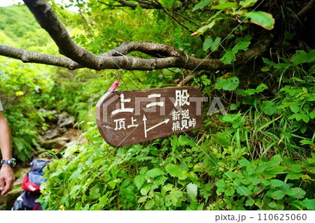 斜里岳登山道上二股の分岐点 斜里岳登山道上二股の分岐点 110625060