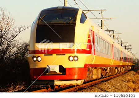 西日を浴びながら帰路に就く特急開運成田山初詣栃木号 110625155
