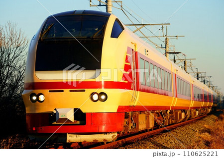 西日の彩り：特急開運成田山初詣栃木号（E653系・国鉄色） 110625221
