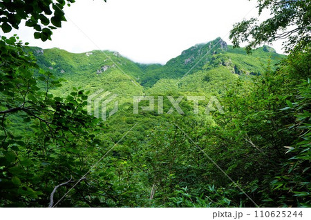 登山道から見る斜里岳頂上 登山道から見る斜里岳頂上 110625244