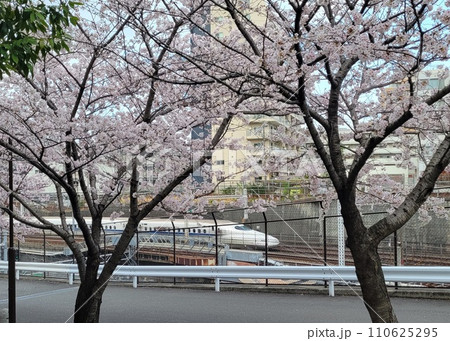 東京の桜並木と東海道新幹線 東京の桜並木と東海道新幹線 110625295