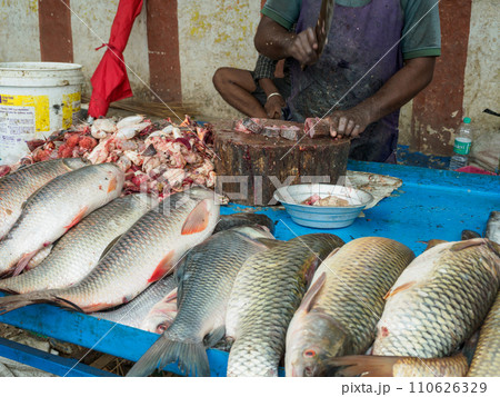 インド_道端の魚屋風景 110626329