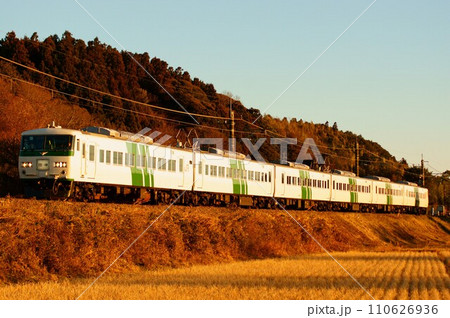 【成田線】西日に染まる列車・185系 【成田線】西日に染まる列車・185系 110626936