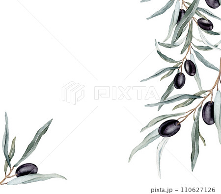 Watercolor banner with green and black olive leaves branches. Olive in bouquet. Decorative element for greeting card. Illustration frame. Pure vegan seasoning. Watercolor banner with green and black olive leaves branches. Olive in bouquet. Decorative element for greeting card. Illustration frame. Pure vegan seasoning. 110627126