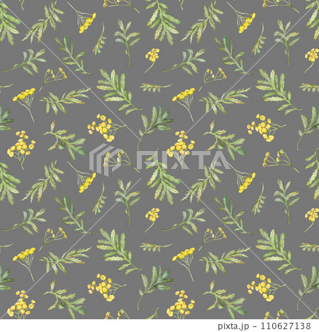 Seamless pattern watercolor common tansy. Yellow field flowers. Hand drawn illustration isolated background. Wallpaper with botanical medicinal wildflowers 110627138