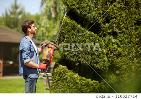 Skillful male gardener with electric hedge trimmer in topiary park. Side view of professional worker looking up at thuja tree, inspecting, while pruning in garden in summer. Concept of pruning time. 110627714