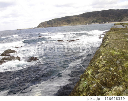 石川県 黒島漁港 海岸隆起の前 石川県 黒島漁港 海岸隆起の前 110628339