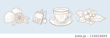 Herbal Tea Item and Element Sketch Hand Drawn Vector Set 110628664