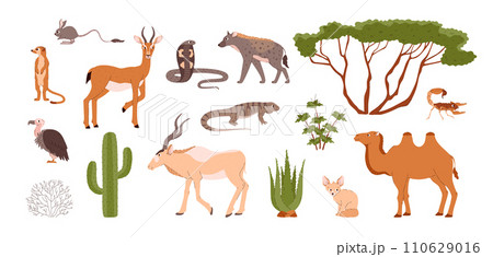 Desert animals and plants set. 110629016