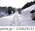雪道 110629131