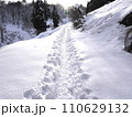 雪道 110629132