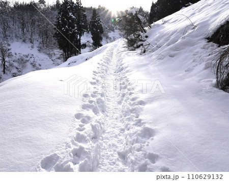 雪道 雪道 110629132
