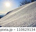 雪肌 110629134
