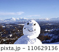 雪だるま 110629136