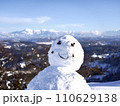 雪だるま 110629138