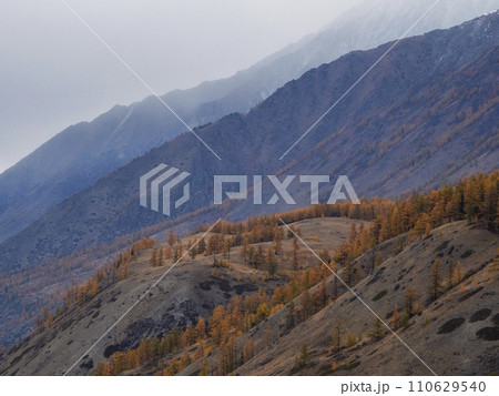 Mysterious scenery with colorful autumn forest in low clouds. Mysterious scenery with colorful autumn forest in low clouds. 110629540