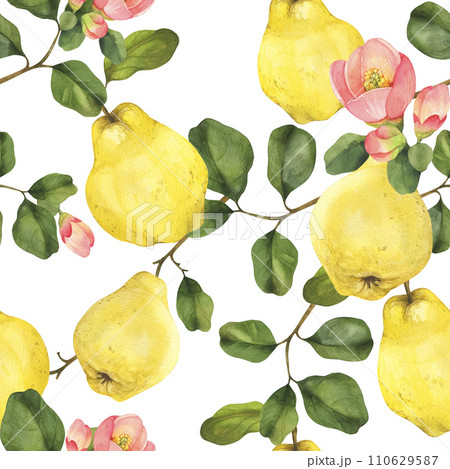 Watercolor quince seamless pattern. Quince fruits, leaves and flowers. Hand drawn on black background perfect for packaging, invitations. 110629587