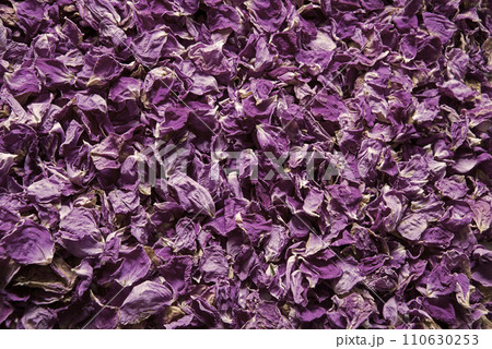 Natural background of rose petals 110630253