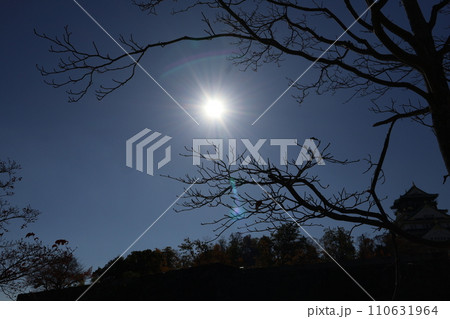 白く光り輝く太陽にピントを合わせて青空と黒いシルエットの樹々の森と冬枯れの樹の枝のある風景 110631964