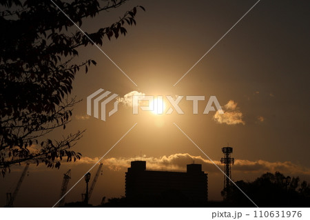 オレンジ色の太陽にピントを合わせて黒いシルエットのビルのある都会の街並みと木々のある森の風景 110631976