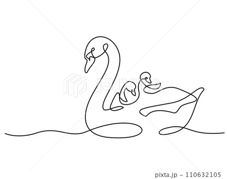 Swan bird with chicks on water surface. Family love. Mothers day concept 110632105
