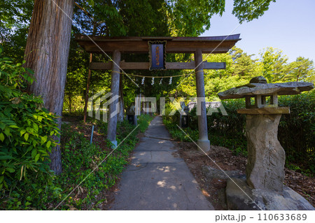 長野県上田市の春　新緑の別所温泉　別所神社 110633689