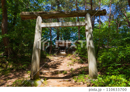 長野県上田市の春　新緑の別所温泉　別所神社 110633700