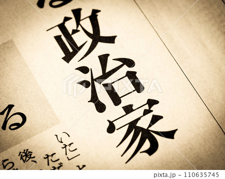 「政治家」と書かれたニュースの見出し 110635745