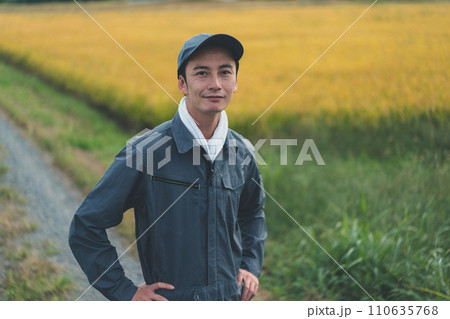 rice farming rice farming 110635768
