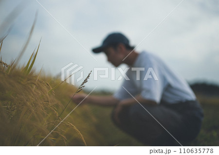 rice farming 110635778