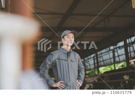 ranch ranch 110635779