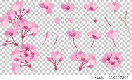 桜のパーツセット 桜のパーツセット 110637265