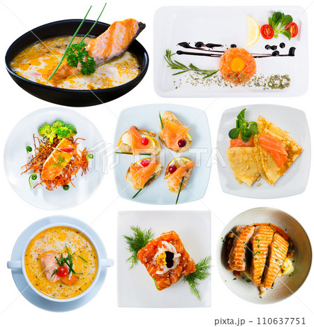 Collection of dishes with salmon Collection of dishes with salmon 110637751